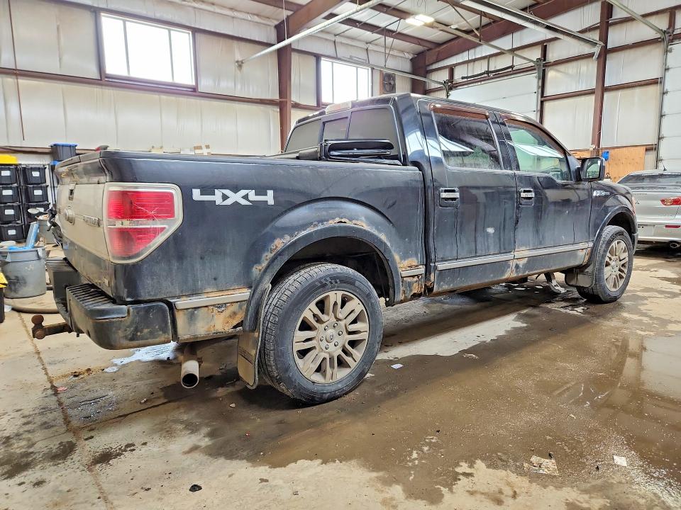2010 Ford F-150 lightning VIN 1FTFW1EV0AFA20038 COPART salvage auction — VANDALISM, Ab - Bos - Salvage, sold $725 on 2026-07-02 (photo 3)