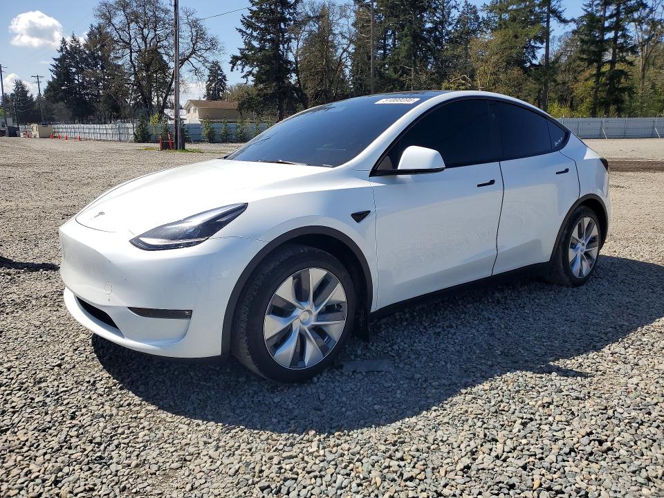 2024 Tesla Model y VIN 7SAYGAEE0RF986107 — COPART salvage auction photo