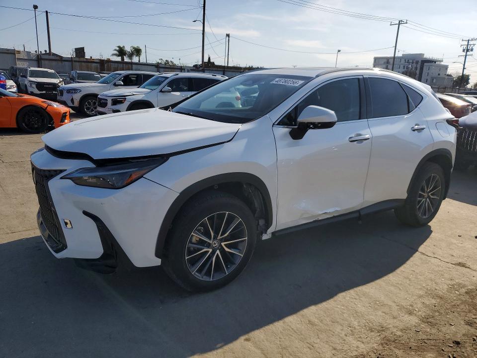 2024 Lexus Nx 250 VIN 2T2ADCAZ0RC007200 — COPART salvage auction photo