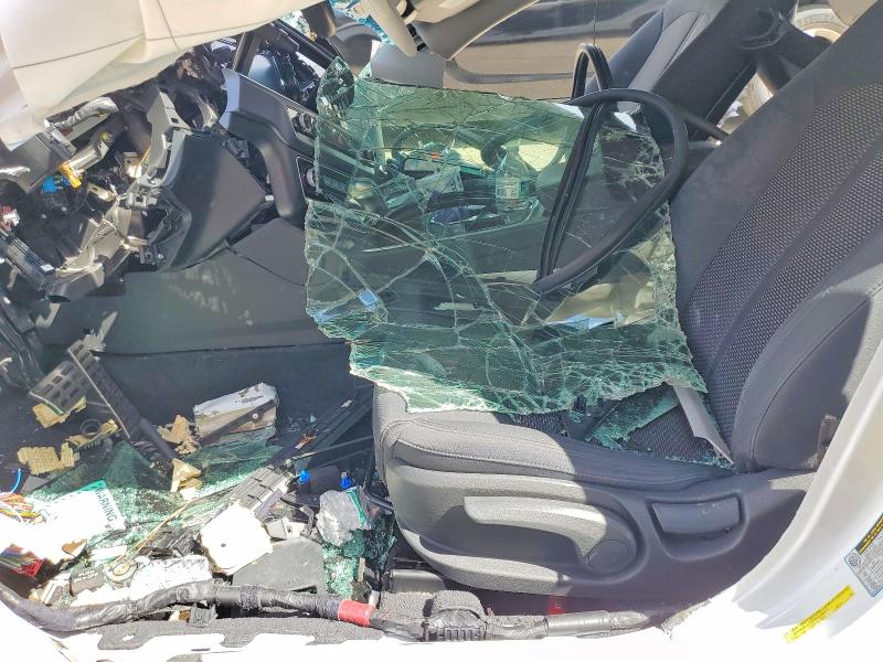 2019 Hyundai Sonata VIN 5NPE24AF3KH770144 COPART salvage auction — ALL OVER, AR - CERTIFICATE OF TITLE, sold $60 on 2026-07-02 (photo 7)