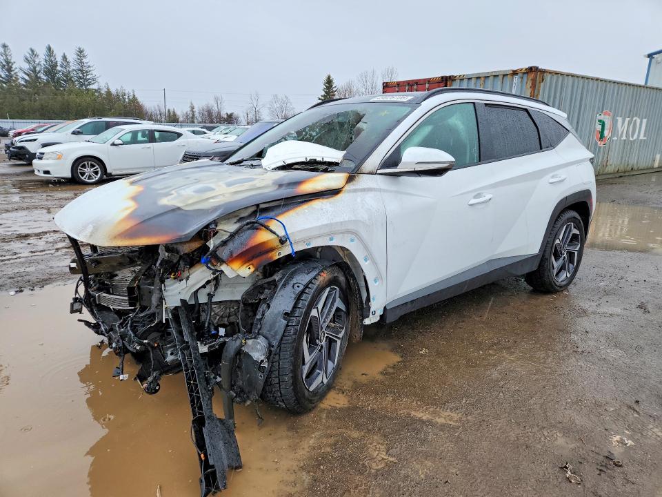 2024 Hyundai Tucson VIN KM8JDDD26RU162194 COPART salvage auction — BURN, ON - PERMIT IRREPAIRABLE, sold $3,450 on 2026-07-28 (photo 1)