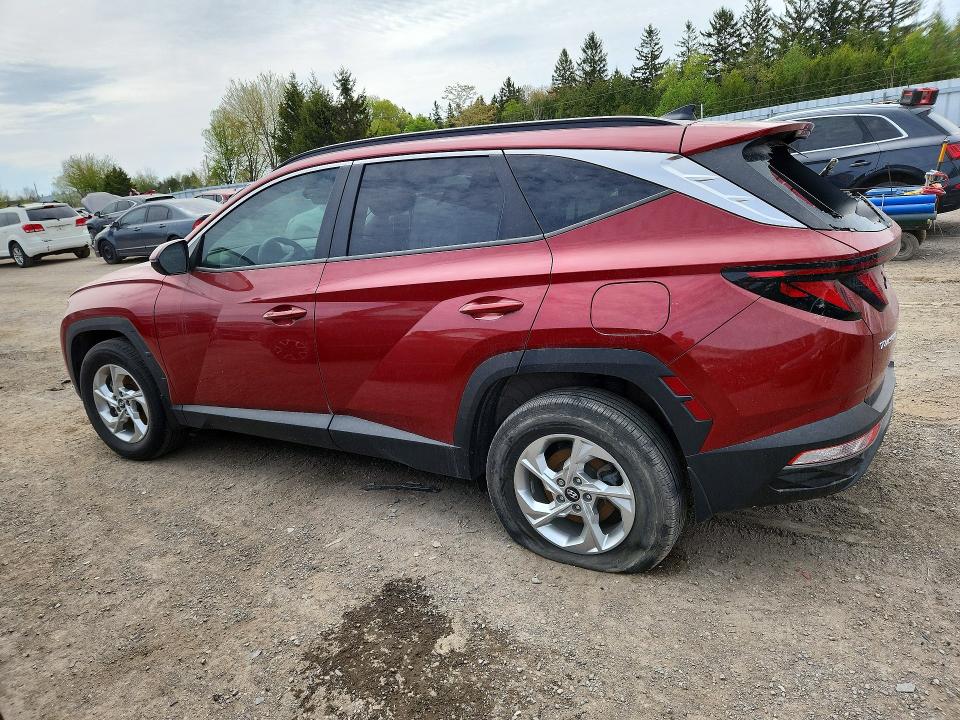 2023 Hyundai Tucson VIN KM8JBCAE3PU250423 COPART salvage auction — VANDALISM, On - Permit No Brand - Unfit, sold $11,000 on 2026-07-03 (photo 2)