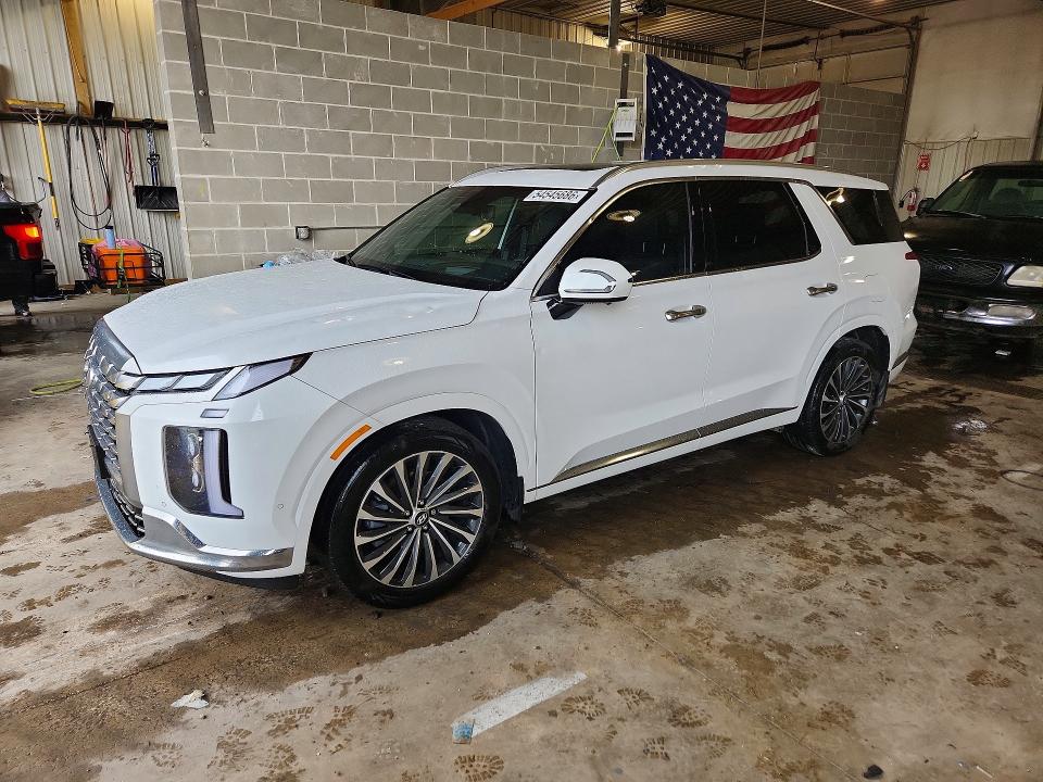 2025 Hyundai Palisade VIN KM8R7DGE2SU880489 COPART salvage auction — HAIL, Id - Salvage Certificate Of Title, sold $90 on 2026-07-21 (photo 1)