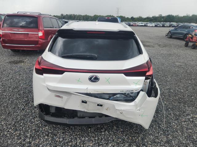 2020 Lexus VIN JTHP9JBH1L2022402 COPART salvage auction — REAR END, Fl - Certificate Of Destruction, sold $7,800 on 2026-07-02 (photo 6)