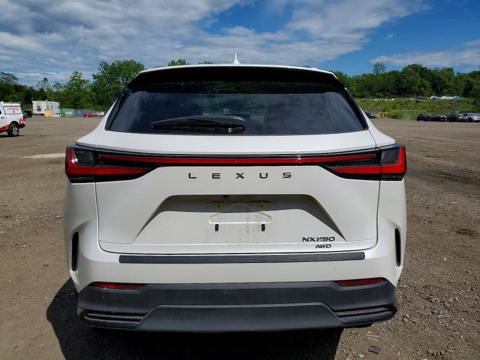 2023 Lexus Nx VIN JTJADCEZ1P5000858 COPART salvage auction — FRONT END, Nj - Cert Of Title-Salvage, sold $20,100 on 2026-08-27 (photo 6)