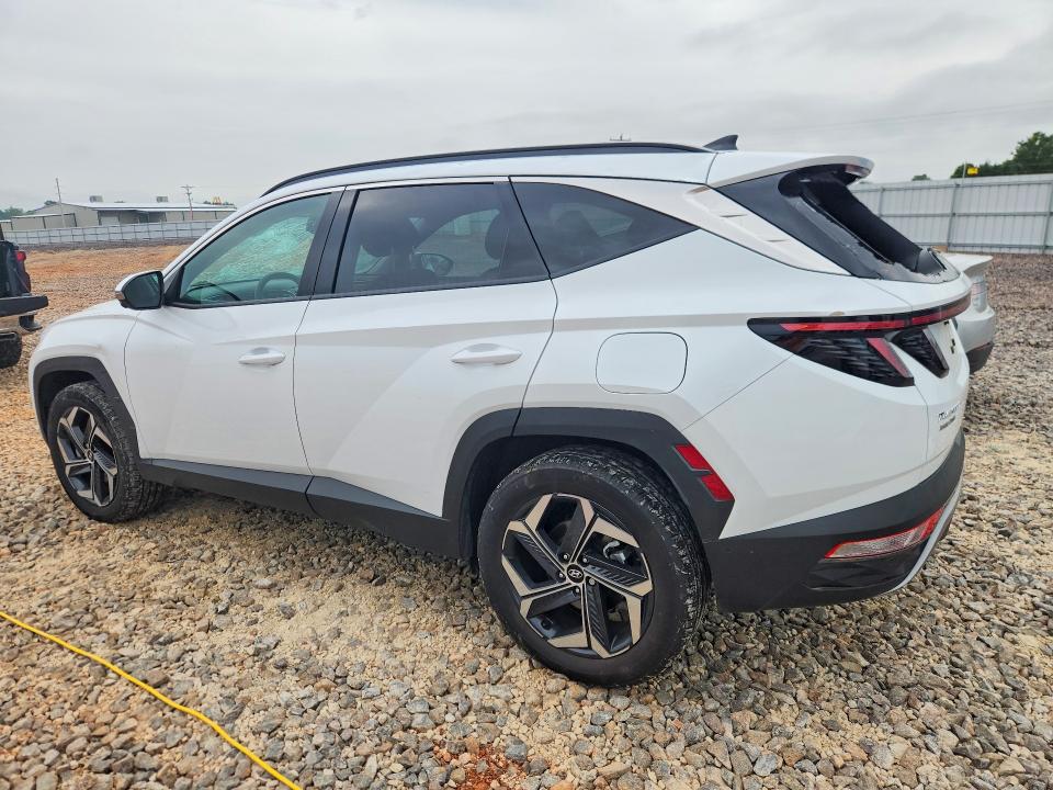 2024 Hyundai VIN KM8JECD13RU224360 COPART salvage auction — HAIL, Id - Salvage Certificate Of Title, sold $150 on 2026-07-22 (photo 2)
