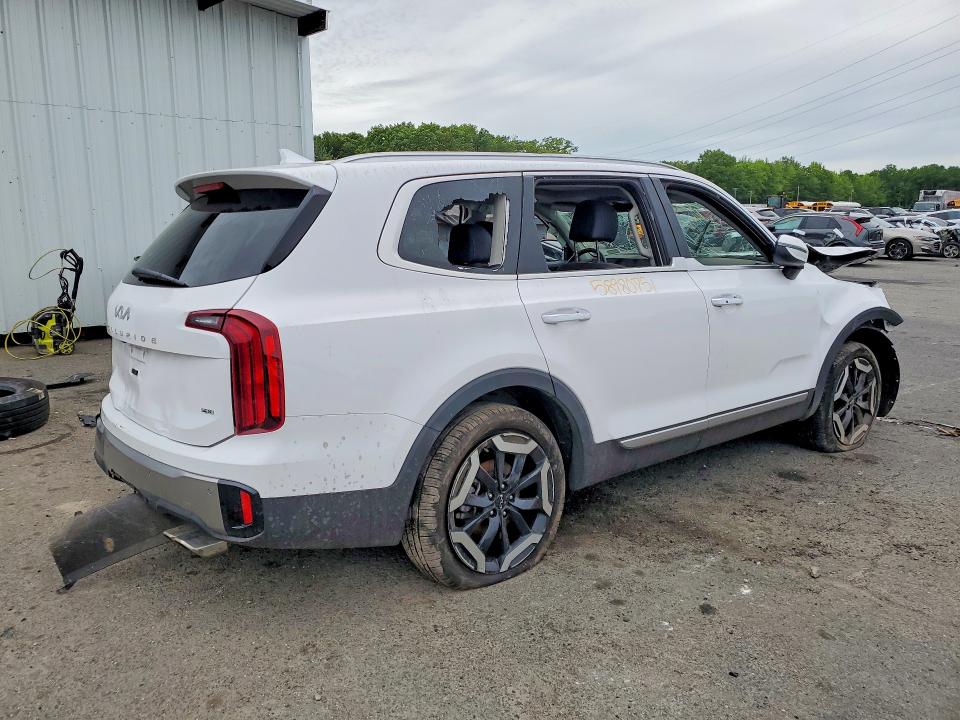 2025 Kia Telluride VIN 5XYP6DGC4SG689509 COPART salvage auction — ALL OVER, Fl - Certificate Of Destruction, sold $325 on 2026-07-27 (photo 3)