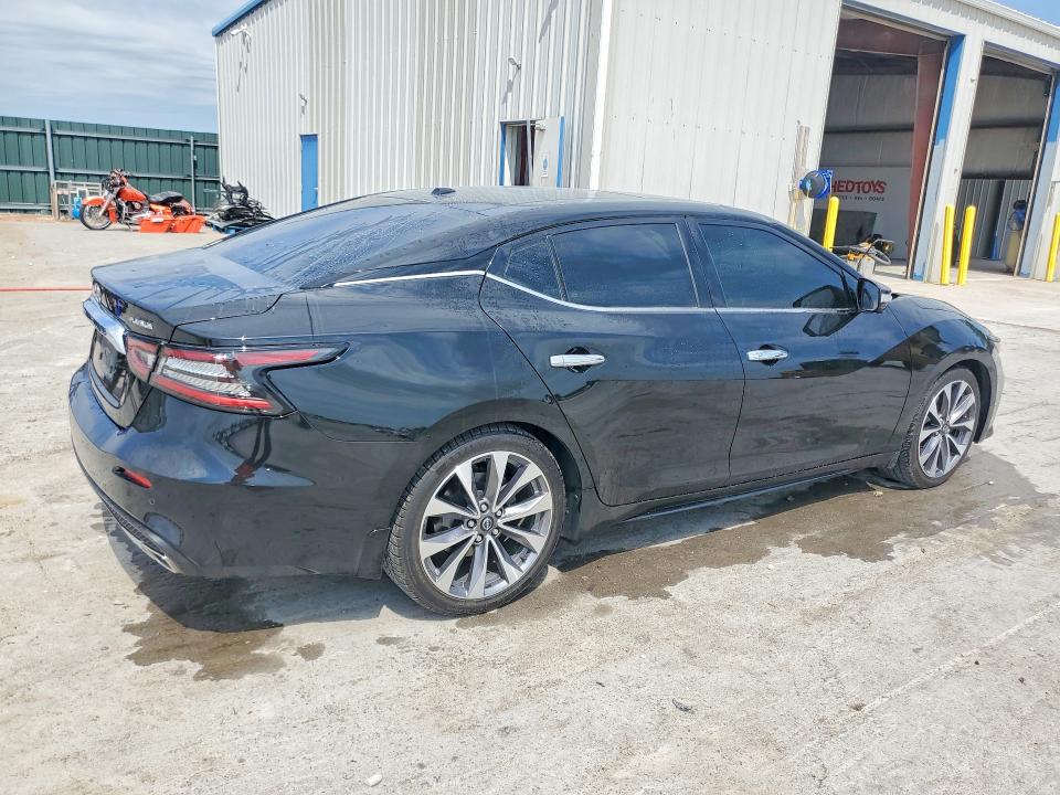 2023 Nissan Maxima VIN 1N4AA6FV5PC507014 COPART salvage auction — HAIL, Salvage Title, sold $12,000 on 2026-07-27 (photo 3)