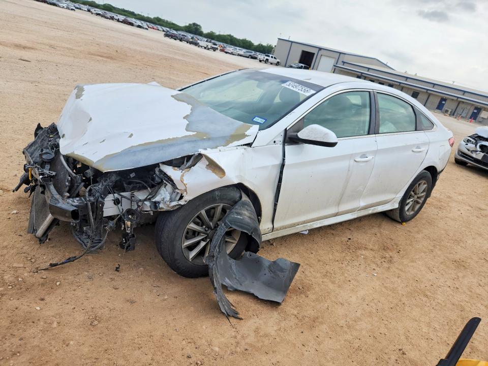 2019 Hyundai Sonata VIN 5NPE24AF3KH737905 COPART salvage auction — REAR END, Tx - Salvage Vehicle Title, sold $325 on 2026-07-09 (photo 1)