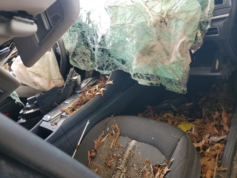 2020 Hyundai Sonata VIN 5NPEG4JA4LH052285 COPART salvage auction — ALL OVER, Ms - Certificate Of Title, sold $425 on 2026-07-07 (photo 8)