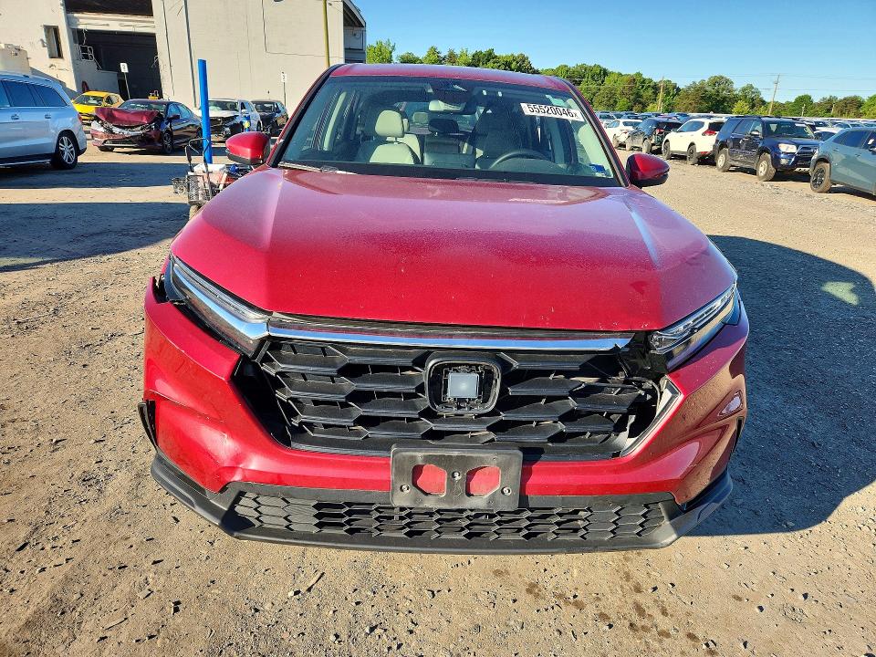 2024 Honda VIN 7FARS4H21RE007489 COPART salvage auction — SIDE, Va - Cert Of Title - Salvage, sold $12,200 on 2026-07-22 (photo 5)
