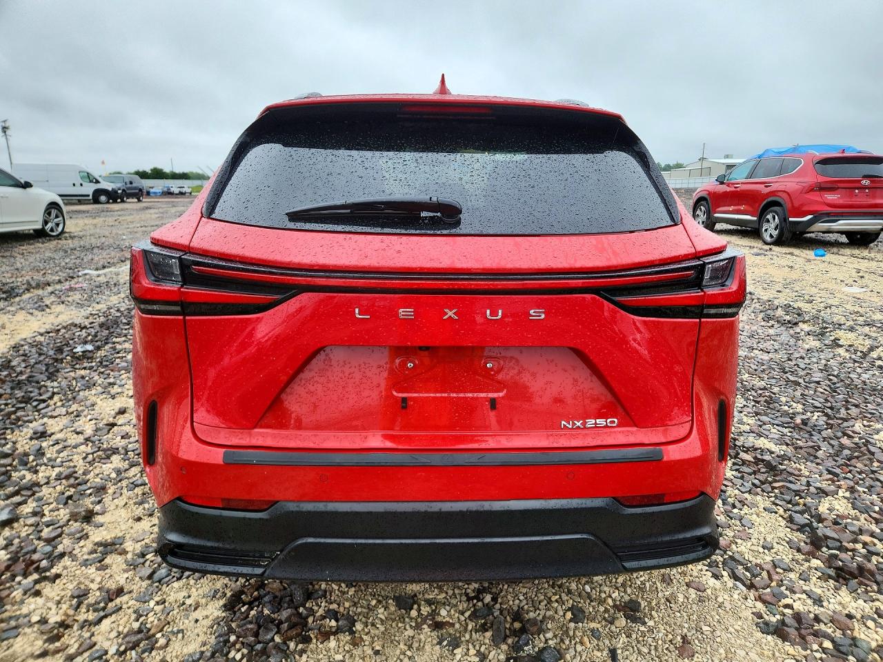 2024 Lexus NX VIN 2T2GDCAZ7RC014316 COPART salvage auction — Hail, Sc - Salvage Title, sold $675 on 2026-09-07 (photo 6)