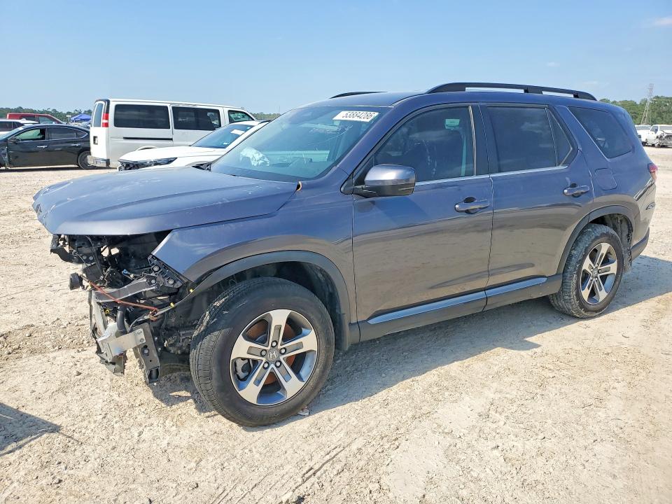 2024 Honda Pilot VIN 5FNYG2H44RB010319 — COPART salvage auction photo