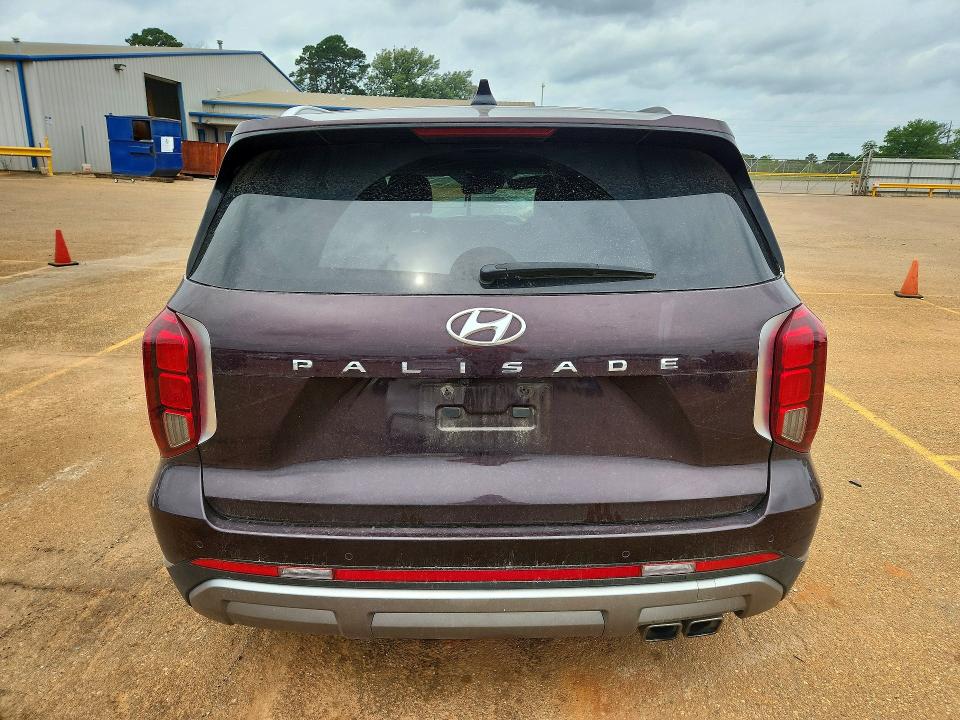 2024 Hyundai Palisade VIN KM8R54GEXRU741355 COPART salvage auction — SIDE, Tx - Salvage Vehicle Title, sold $6,700 on 2026-07-13 (photo 6)