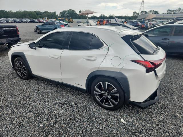 2020 Lexus VIN JTHP9JBH1L2022402 COPART salvage auction — REAR END, Fl - Certificate Of Destruction, sold $7,800 on 2026-07-02 (photo 2)