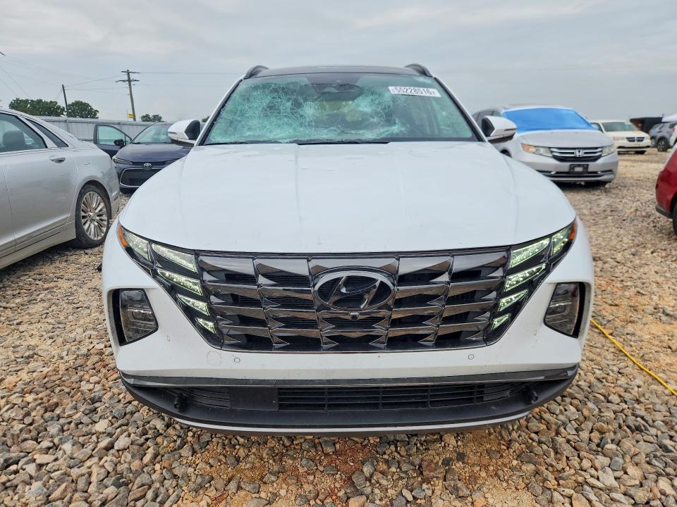 2024 Hyundai VIN KM8JECD13RU224360 COPART salvage auction — HAIL, Id - Salvage Certificate Of Title, sold $150 on 2026-07-22 (photo 5)