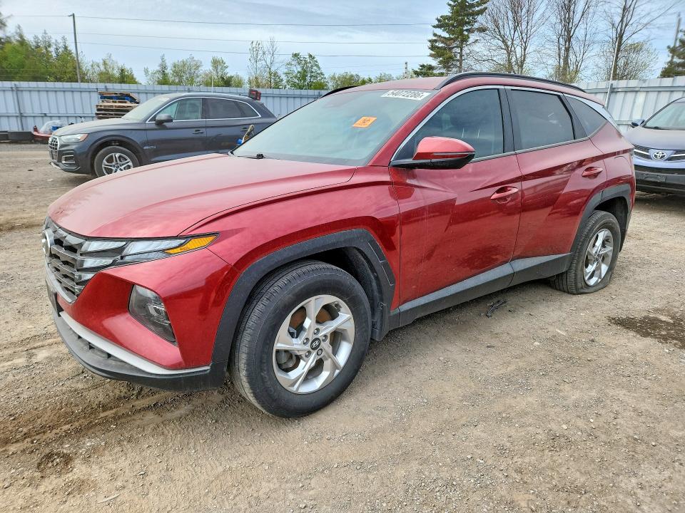 2023 Hyundai Tucson VIN KM8JBCAE3PU250423 COPART salvage auction — VANDALISM, On - Permit No Brand - Unfit, sold $11,000 on 2026-07-03 (photo 1)