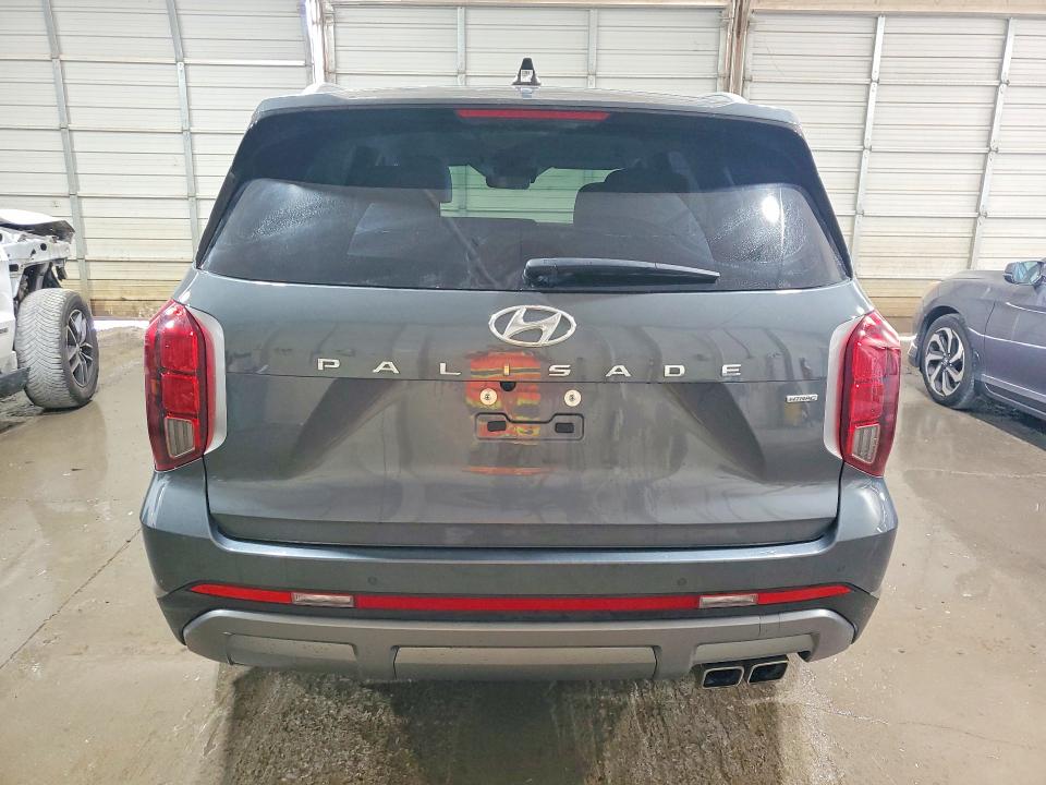 2025 Hyundai Palisade VIN KM8R2DGE4SU927116 COPART salvage auction — SIDE, Tn - Salvage Certificate, sold $175 on 2026-07-21 (photo 6)