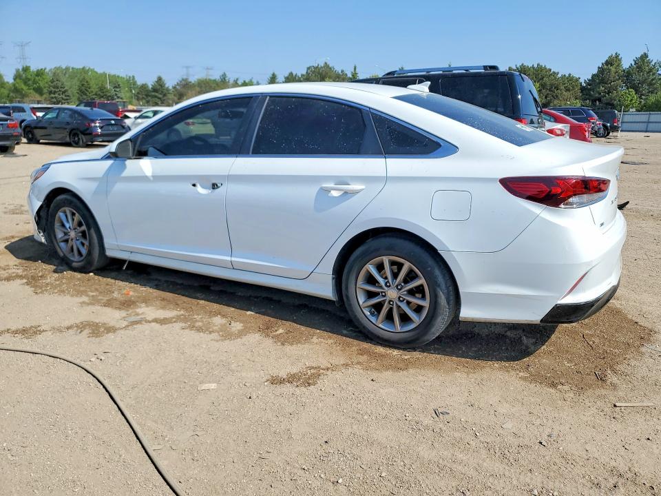 2019 Hyundai Sonata VIN 5NPE24AF7KH802402 COPART salvage auction — VANDALISM, IL - SALVAGE CERTIFICATE, sold $3,850 on 2026-07-09 (photo 2)