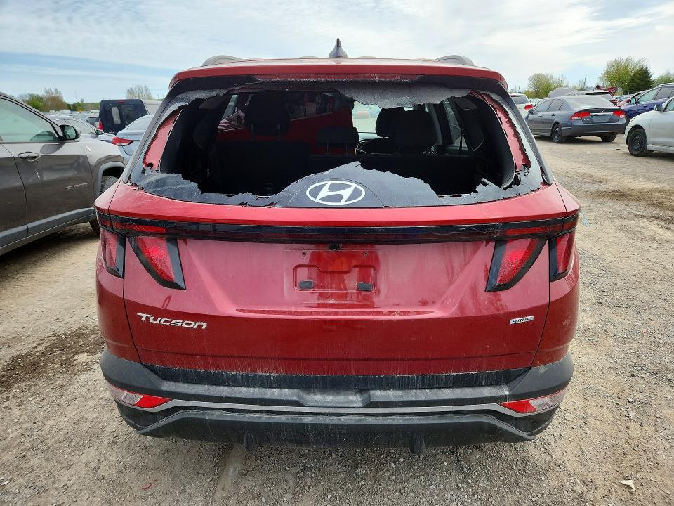 2023 Hyundai Tucson VIN KM8JBCAE3PU250423 COPART salvage auction — VANDALISM, On - Permit No Brand - Unfit, sold $11,000 on 2026-07-03 (photo 6)