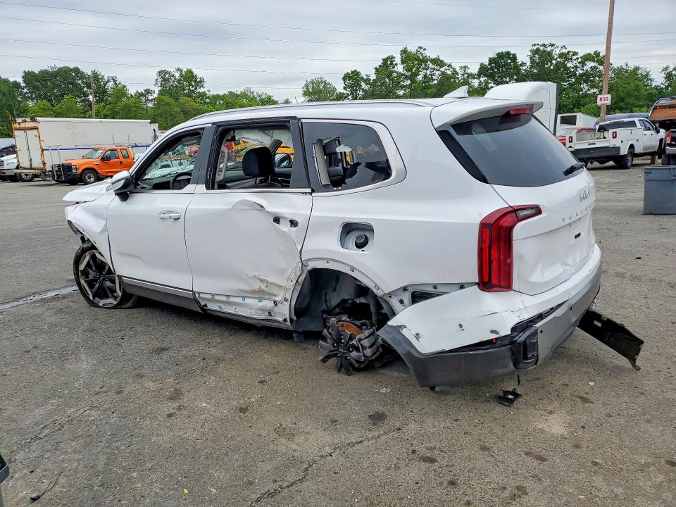 2025 Kia Telluride VIN 5XYP6DGC4SG689509 COPART salvage auction — ALL OVER, Fl - Certificate Of Destruction, sold $325 on 2026-07-27 (photo 2)