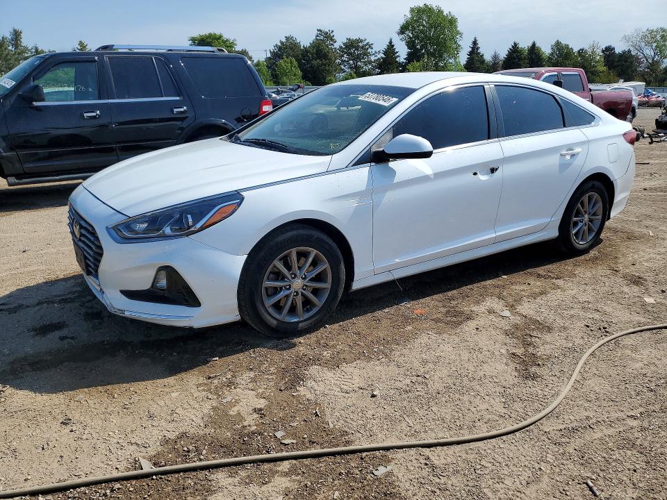 2019 Hyundai Sonata VIN 5NPE24AF7KH802402 COPART salvage auction — VANDALISM, IL - SALVAGE CERTIFICATE, sold $3,850 on 2026-07-09 (photo 1)