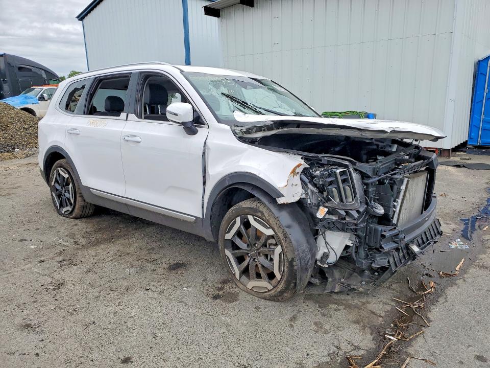 2025 Kia Telluride VIN 5XYP6DGC4SG689509 COPART salvage auction — ALL OVER, Fl - Certificate Of Destruction, sold $325 on 2026-07-27 (photo 4)