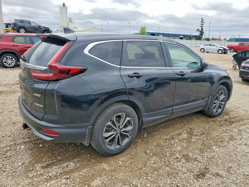 2021 Honda Cr-v VIN 7FART6H88ME021122 COPART salvage auction — HAIL, Ia - Cert Of Title-Salvage Title, sold $10,300 on 2026-07-08 (photo 3)