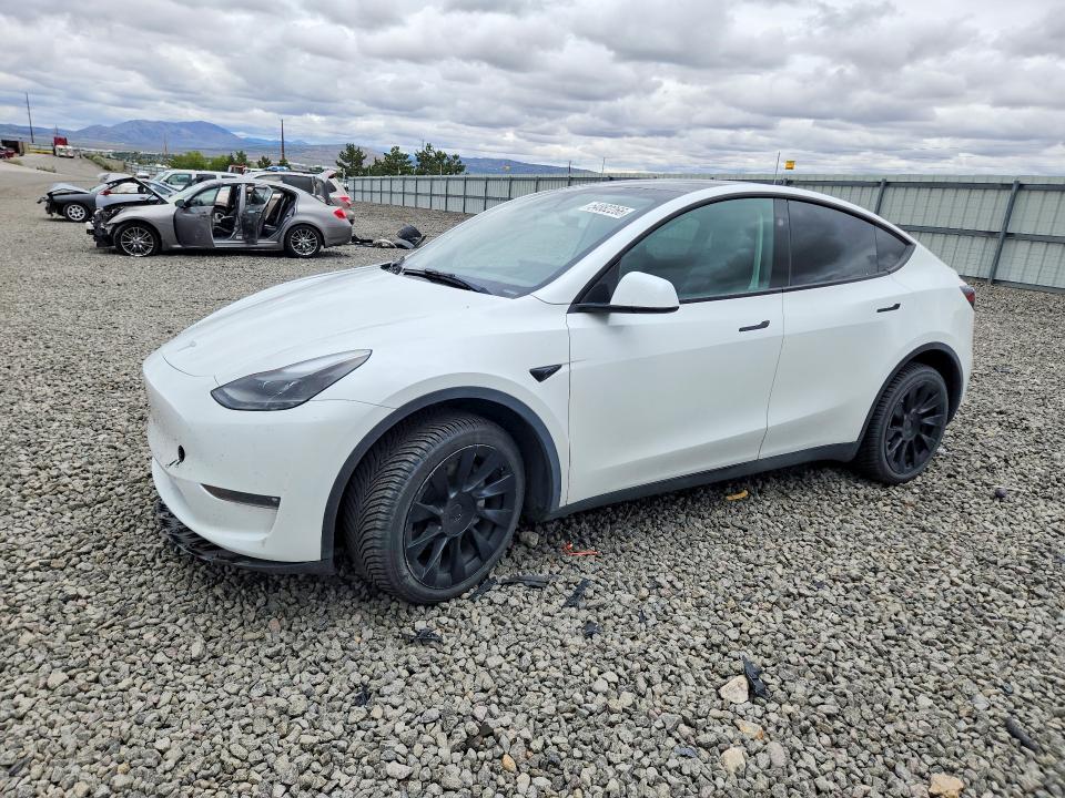 2023 Tesla Model y VIN 7SAYGDEE2PF895726 — COPART salvage auction photo