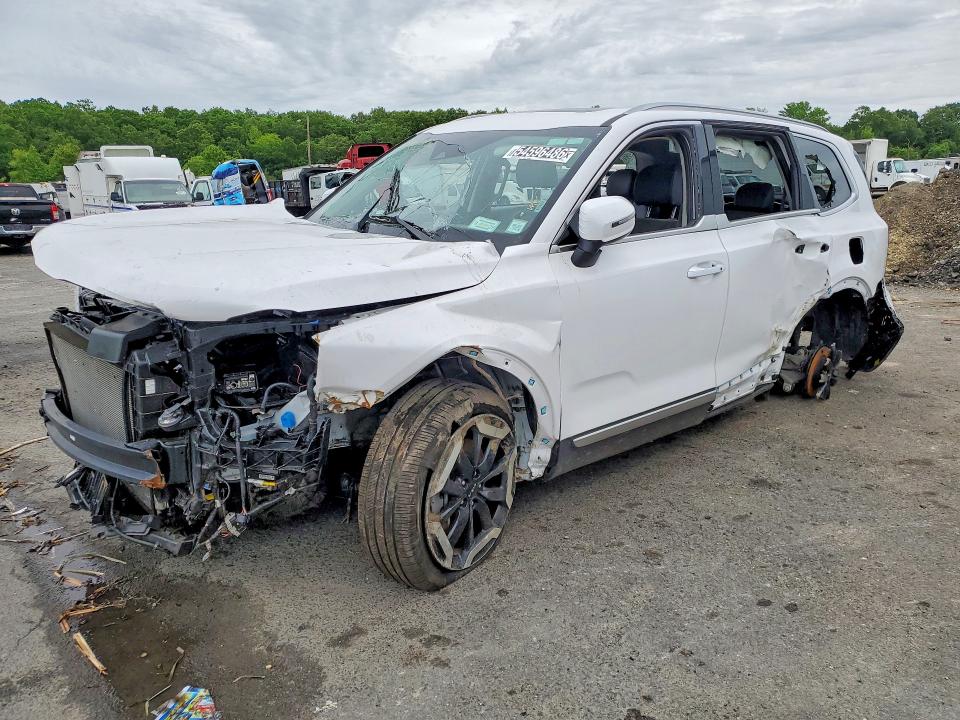 2025 Kia Telluride VIN 5XYP6DGC4SG689509 COPART salvage auction — ALL OVER, Fl - Certificate Of Destruction, sold $325 on 2026-07-27 (photo 1)