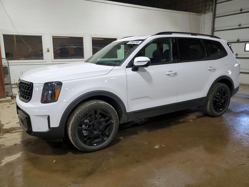 2025 Kia Telluride VIN 5XYP3DGC4SG725935 COPART salvage auction — HAIL, Mn - Cert Of Title-Salvage, sold $13,400 on 2026-07-28 (photo 1)