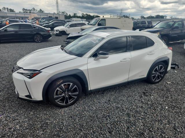 2020 Lexus VIN JTHP9JBH1L2022402 COPART salvage auction — REAR END, Fl - Certificate Of Destruction, sold $7,800 on 2026-07-02 (photo 1)