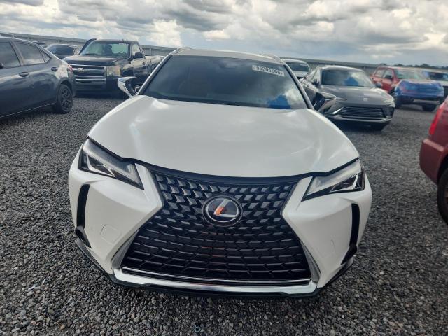 2020 Lexus VIN JTHP9JBH1L2022402 COPART salvage auction — REAR END, Fl - Certificate Of Destruction, sold $7,800 on 2026-07-02 (photo 5)