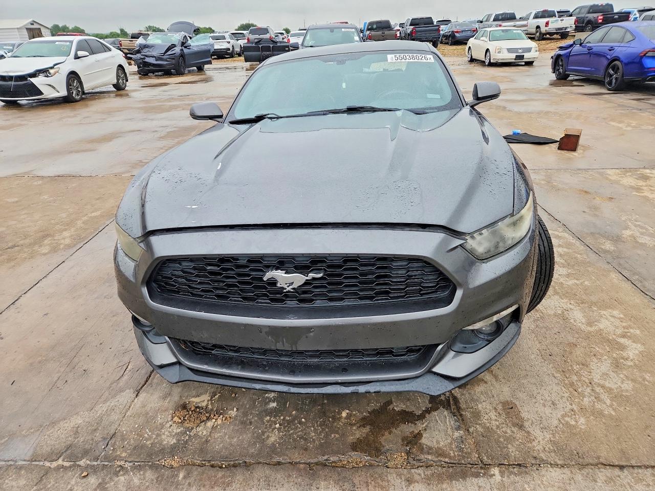 2016 Ford Mustang VIN 1FA6P8THXG5278817 COPART salvage auction — Rear End, TX - SALVAGE VEHICLE TITLE, sold $2,450 on 2026-07-09 (photo 5)