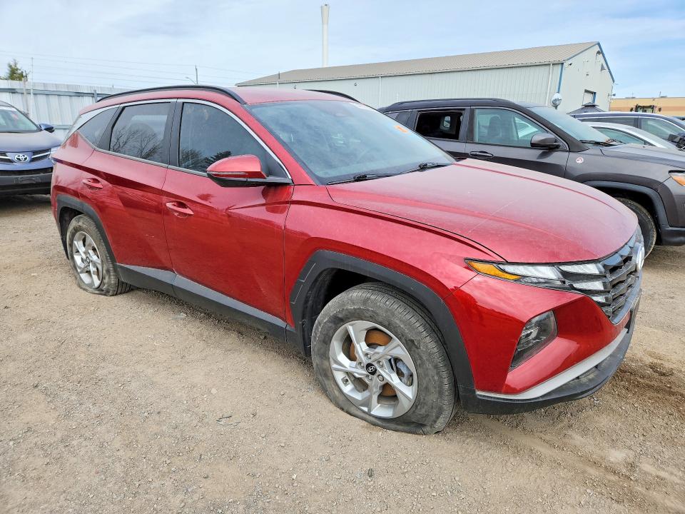 2023 Hyundai Tucson VIN KM8JBCAE3PU250423 COPART salvage auction — VANDALISM, On - Permit No Brand - Unfit, sold $11,000 on 2026-07-03 (photo 4)
