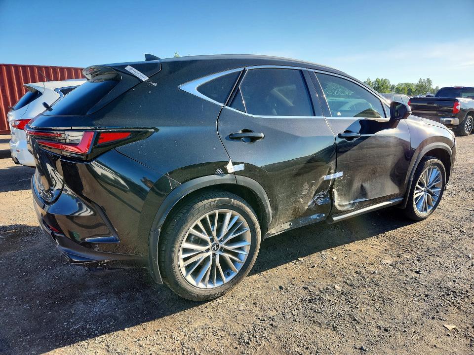 2025 Lexus Nx 350 VIN 2T2GGCEZ1SC063860 COPART salvage auction — VANDALISM, ON - PERMIT NO BRAND - UNFIT, sold $27,000 on 2026-07-15 (photo 3)