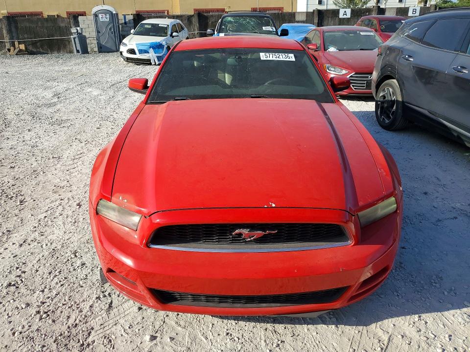 2013 Ford Mustang VIN 1ZVBP8AM3D5204298 COPART salvage auction — MINOR DENT/SCRATCHES, Fl - Certificate Of Title, sold $1,300 on 2026-07-02 (photo 5)