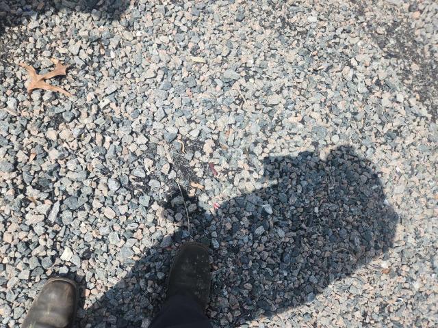 2020 Utility Vs2ra VIN 3UTVS2539L8845803 COPART salvage auction — ALL OVER, FL - CERT OF TITLE SLVG REBUILDABLE, sold $10,800 on 2026-07-09 (photo 2)