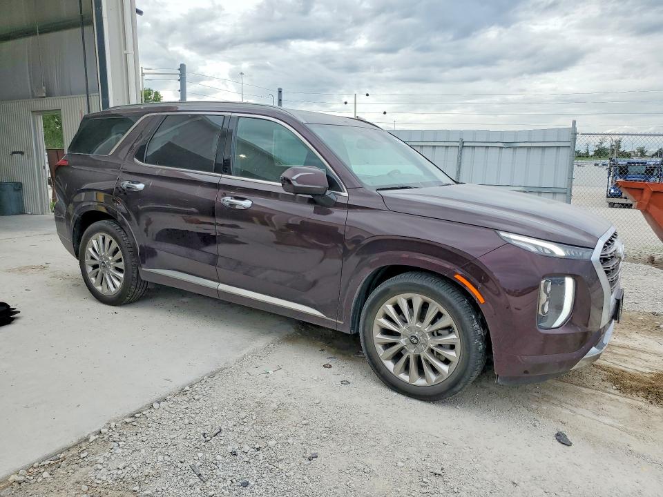 2020 Hyundai Palisade VIN KM8R5DHE3LU039741 COPART salvage auction — SIDE, Ne - Cert Of Title-Salvage, sold $7,200 on 2026-07-14 (photo 4)