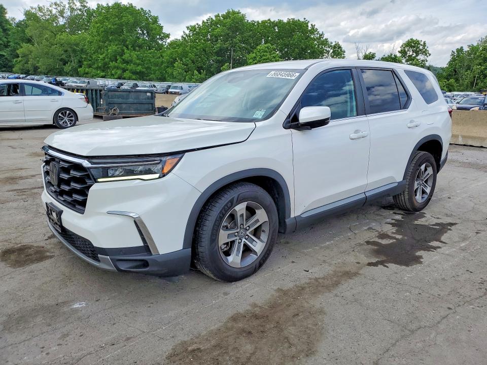 2024 Honda Pilot VIN 5FNYG1H41RB004715 — COPART salvage auction photo
