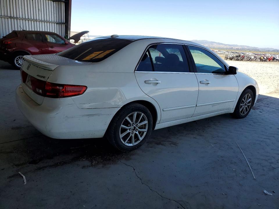 2005 Honda Accord VIN 1HGCM66525A051218 COPART salvage auction — SIDE, Ca - Dlr/Dis/Exp Only Salvage Title, sold $350 on 2026-07-02 (photo 3)
