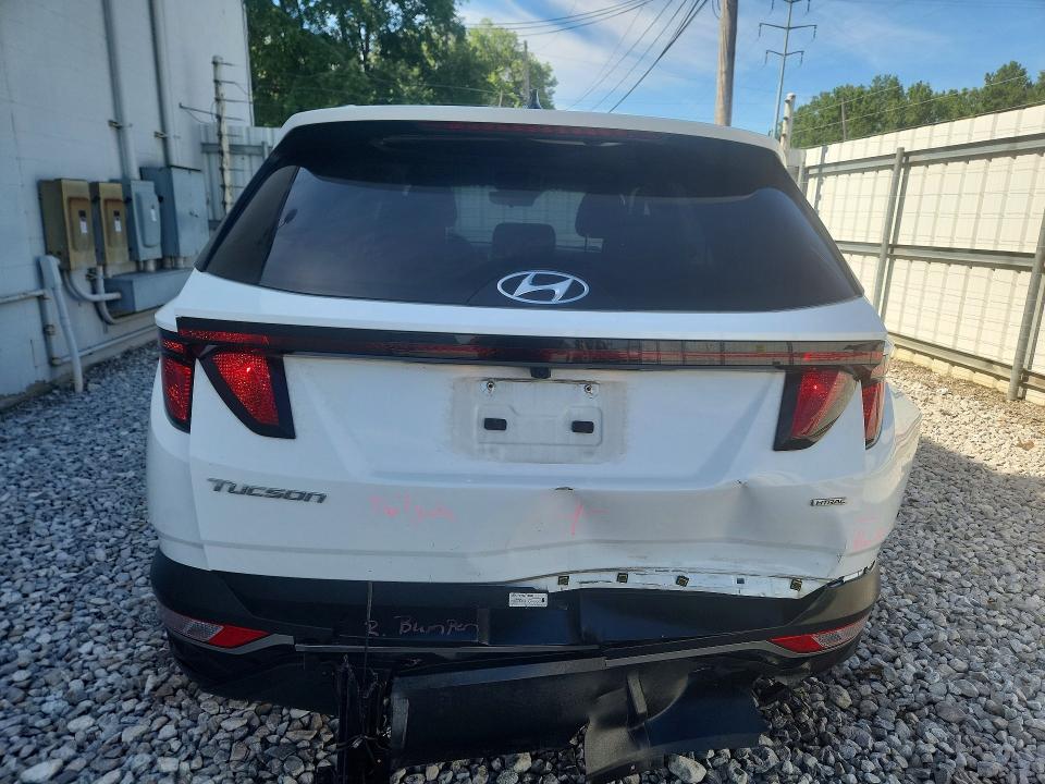 2024 Hyundai Tucson VIN 5NMJBCDE2RH349115 COPART salvage auction — REAR END, FL - CERT OF TITLE SLVG REBUILDABLE, sold $125 on 2026-08-03 (photo 6)