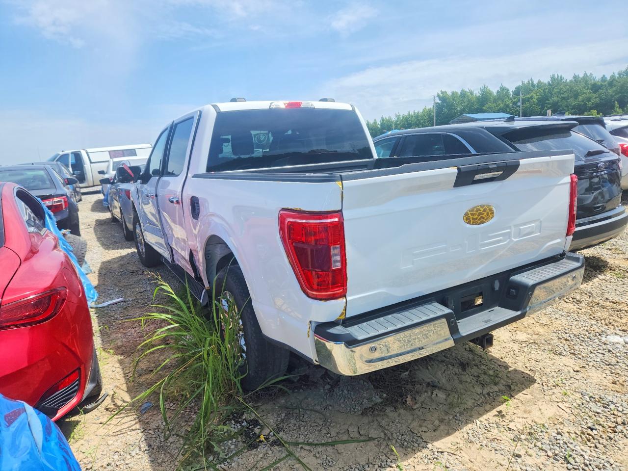 2023 Ford F-150 Lightning VIN 1FTEW1EP2PKD32567 COPART salvage auction — Side, TN - SALVAGE CERTIFICATE, sold $14,800 on 2026-07-03 (photo 2)
