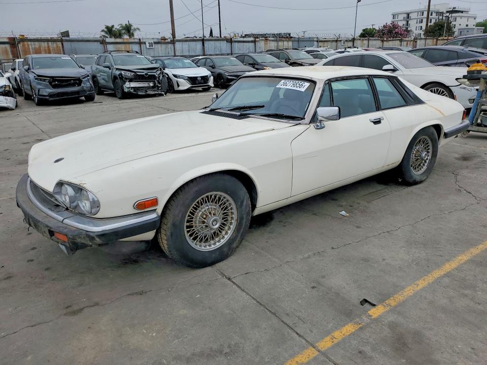 1984 Jaguar Xj series VIN SAJNV5842EC113497 COPART salvage auction — MINOR DENT/SCRATCHES, Ca - Dis/Dlr/Exp Only Clean Title, sold $1,900 on 2026-07-27 (photo 1)