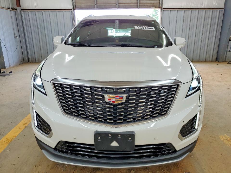2024 Cadillac VIN 1GYKNCRS3RZ748373 COPART salvage auction — SIDE, Nc - Salvage Certificate Of Title, sold $10,700 on 2026-08-05 (photo 5)