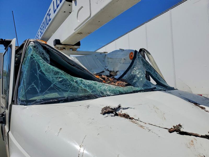 2007 International VIN 1HTMMAAN07H450235 COPART salvage auction — ROOF, AL - CERT OF TITLE-PARTS ONLY SALVG, sold $2,650 on 2026-07-09 (photo 9)