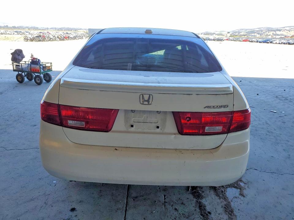 2005 Honda Accord VIN 1HGCM66525A051218 COPART salvage auction — SIDE, Ca - Dlr/Dis/Exp Only Salvage Title, sold $350 on 2026-07-02 (photo 6)