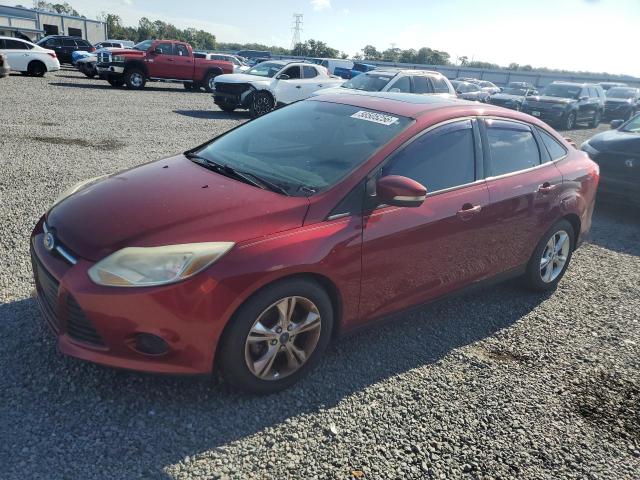 2019 Ford Focus VIN 1FADP3F2XDL187426 COPART salvage auction — NORMAL WEAR, Fl - Certificate Of Title, sold $775 on 2026-07-31 (photo 1)