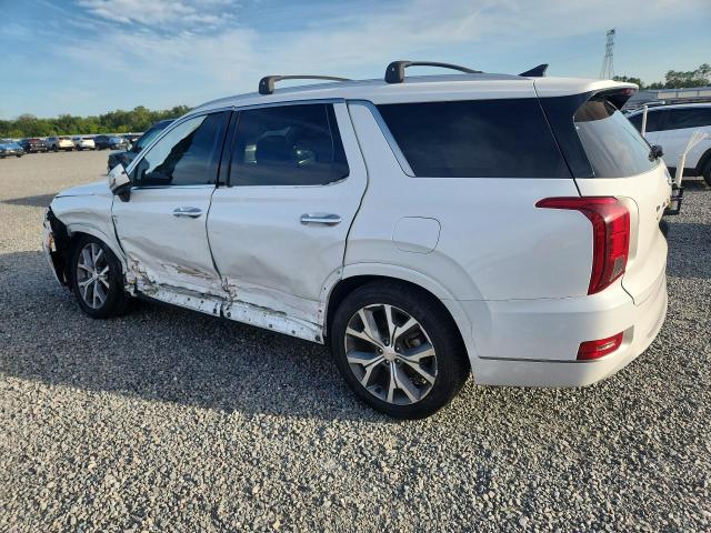2022 Hyundai Palisade VIN KM8R5DHE5NU401636 COPART salvage auction — SIDE, Fl - Certificate Of Destruction, sold $90 on 2026-07-31 (photo 2)