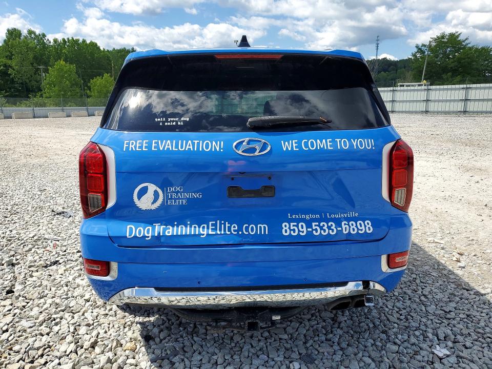 2020 Hyundai VIN KM8R5DHE7LU071737 COPART salvage auction — REAR END, Ky - Certificate Of Title, sold $3,000 on 2026-07-07 (photo 6)